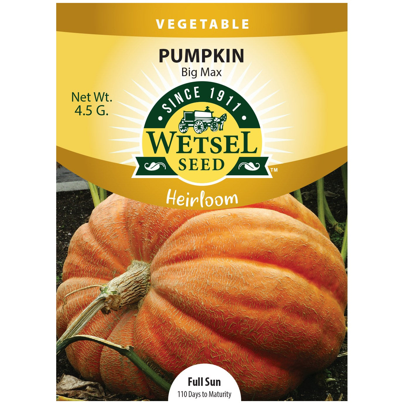 Heirloom Seeds Pumpkin Big Max - 4.5 Grams - #30949