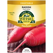 Heirloom Seeds Radish China Rose - 4 Grams