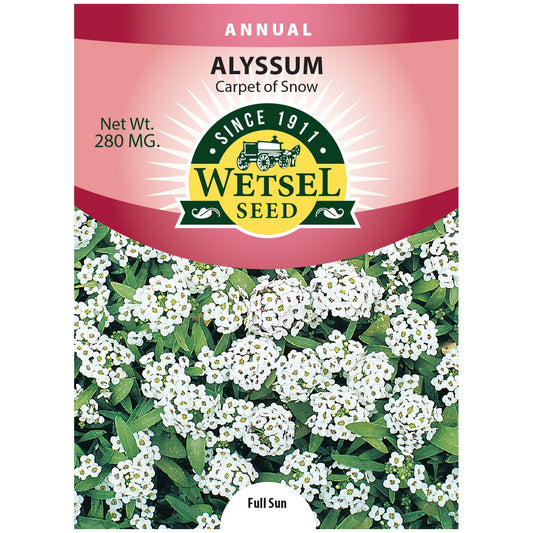 Seeds Alyssum Carpet of Snow - 280 Mg - #29947