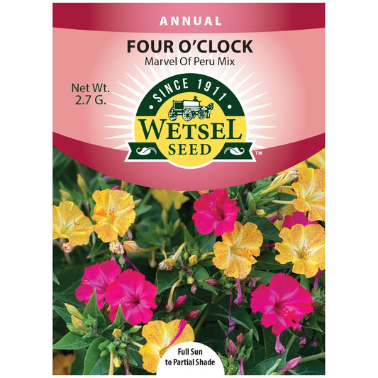 Seeds Four O'Clock Marvel of Peru - 2.7 Grams - #29953