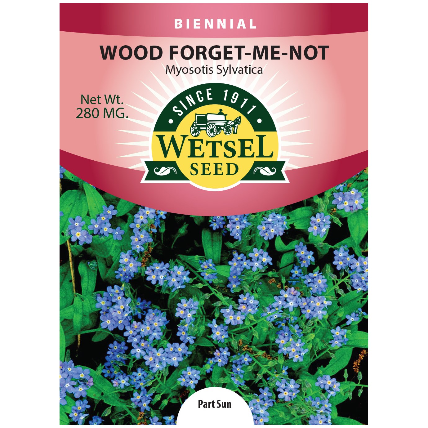 Seeds Wood Forget-Me-Not Myosotis - 280 Mg - #29945