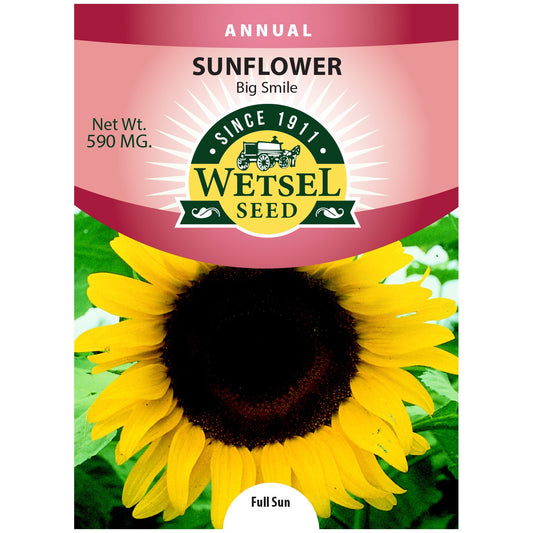 Seeds Sunflower Big Smile - 590 MG - #29607