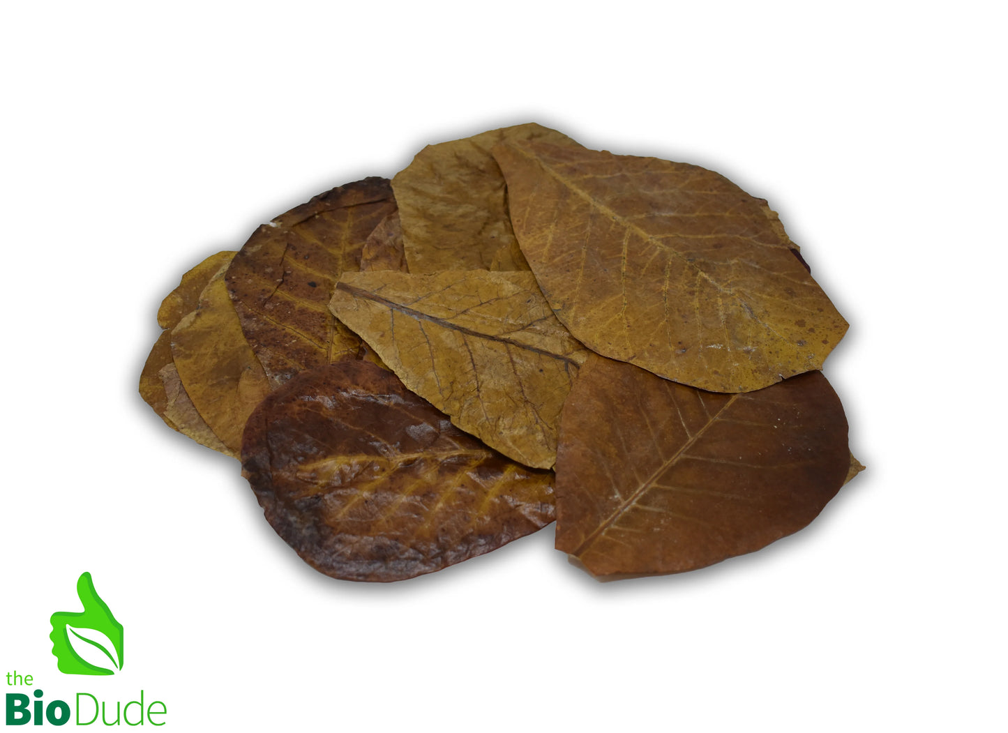 Leaf Litter