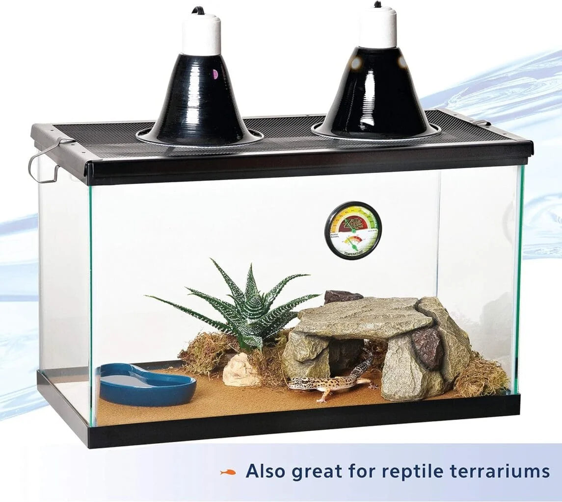 Aquatic Tank  - 10 Gallon - #25502