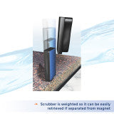 Algae Cleaning Magnet - Medium - #31133