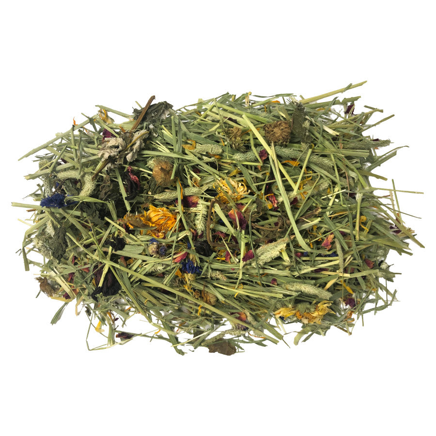 Komodo Tortoise Hay w/ Wildflowers – 24 oz - #32376