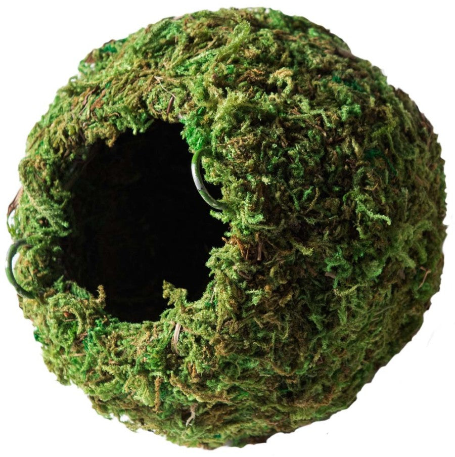 Cave Mossy Terrarium Hideaway - Fresh Green - 4 Inch - #32115