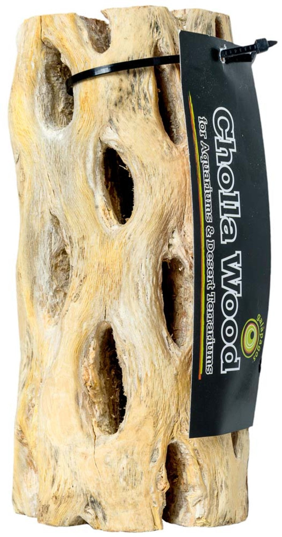 Cholla Wood Natural - Natural - 12" - #26749