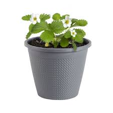 Bonnie 1 Gallon Herb Fancy Pot - #32289