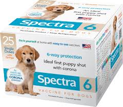 Vaccine Spectra 6 Canine - 1 Dose - #23809