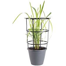 Bonnie 11" Veggie Pot Cage - 2.6 Gallon - #9018
