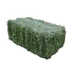 Alfalfa Hay - 3 wire
