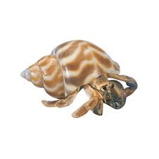 Shell Fancy Hermit Crab - Assorted - #30384