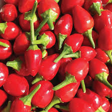 Chiltepin - 2.5 Quart