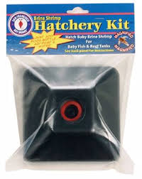 Brine Shrimp Hatchery Kit - #31646
