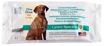 Spectra 9 Canine Vaccine - 1 Dose - #28421