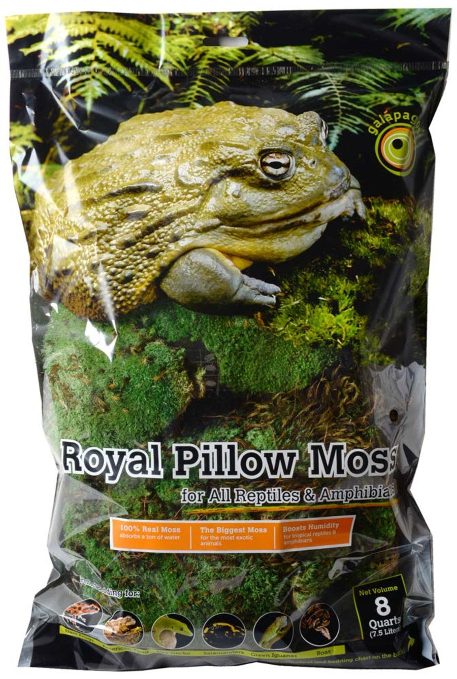 Royal Pillow Moss - Galapagos - 8 Qt - #30130
