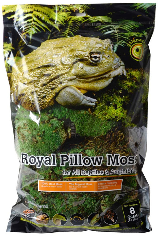Royal Pillow Moss - Galapagos - 8 Qt - #30130