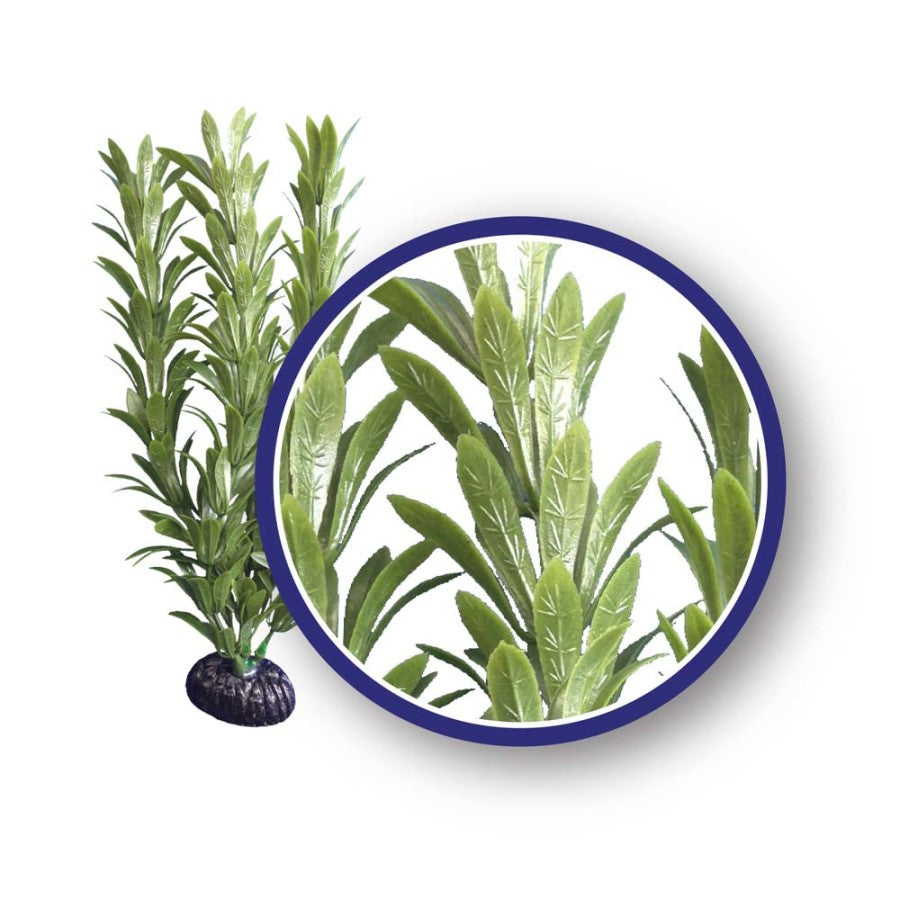 Plant Weighted Anacharis - 9" - Green - #27996