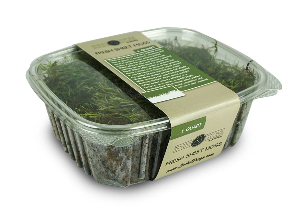 Fresh Sheet Moss - 1 Qt