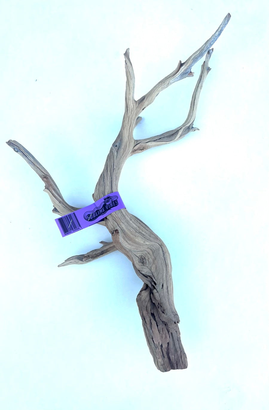 Sandblasted Ghost Wood  - Medium - #33083