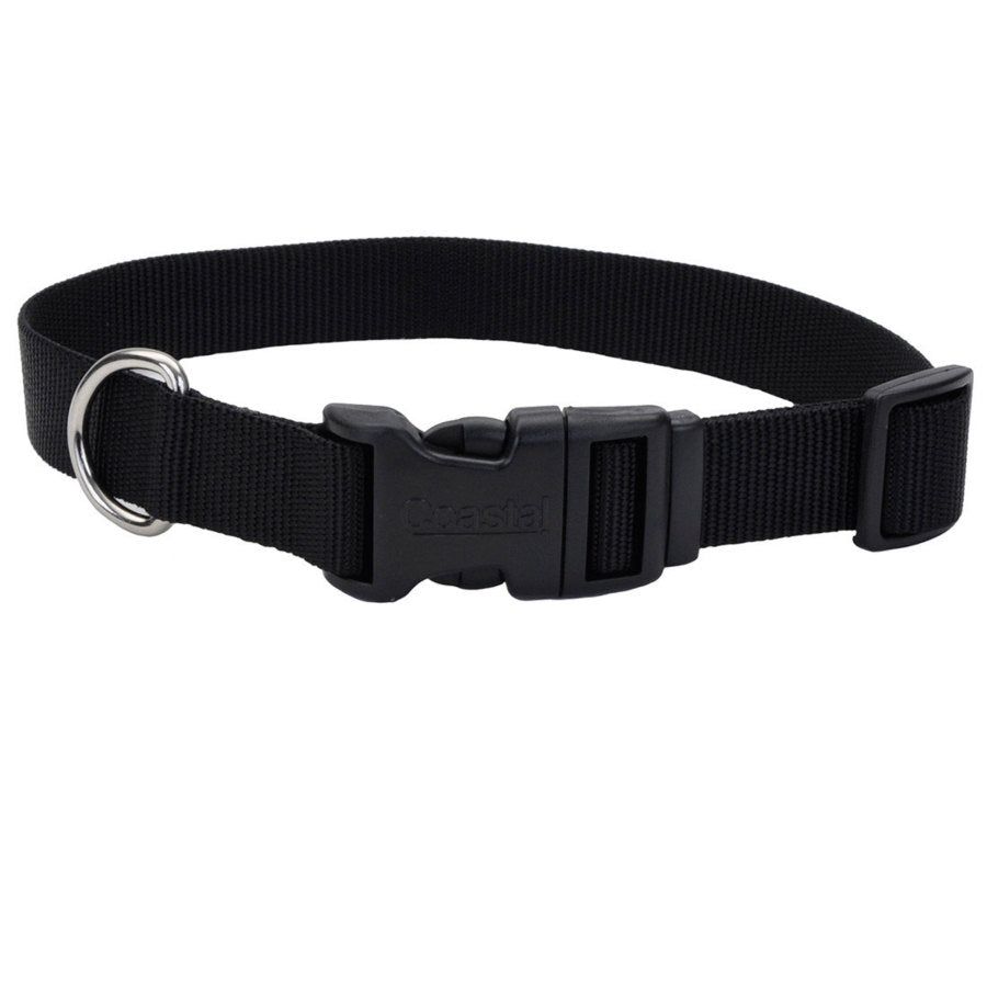 Cat or Dog Collar - XS - 8"-12" - Coastal - #32951
