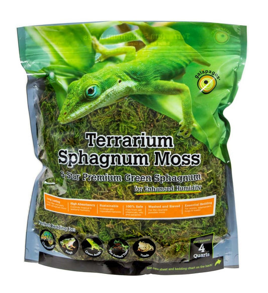 Terrarium Sphagnum Moss - 4 Quart -  # 26493