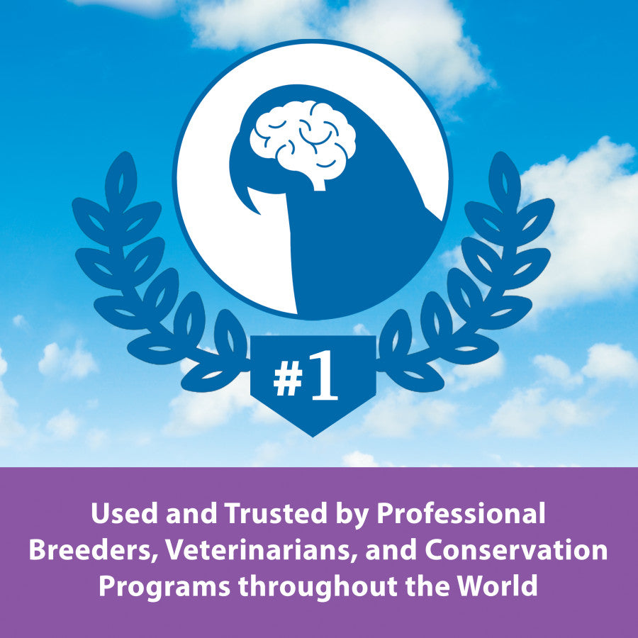 Kaytee Baby Bird Food Hand Feeding Formula - 18 oz - #25413