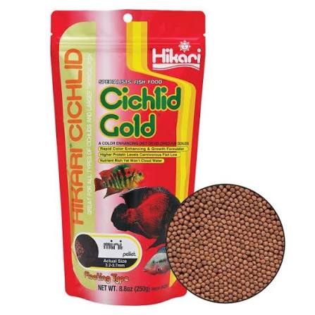 Cichlid Fish Pellets Gold - 8.8 oz - Mini - Hikari - #33341
