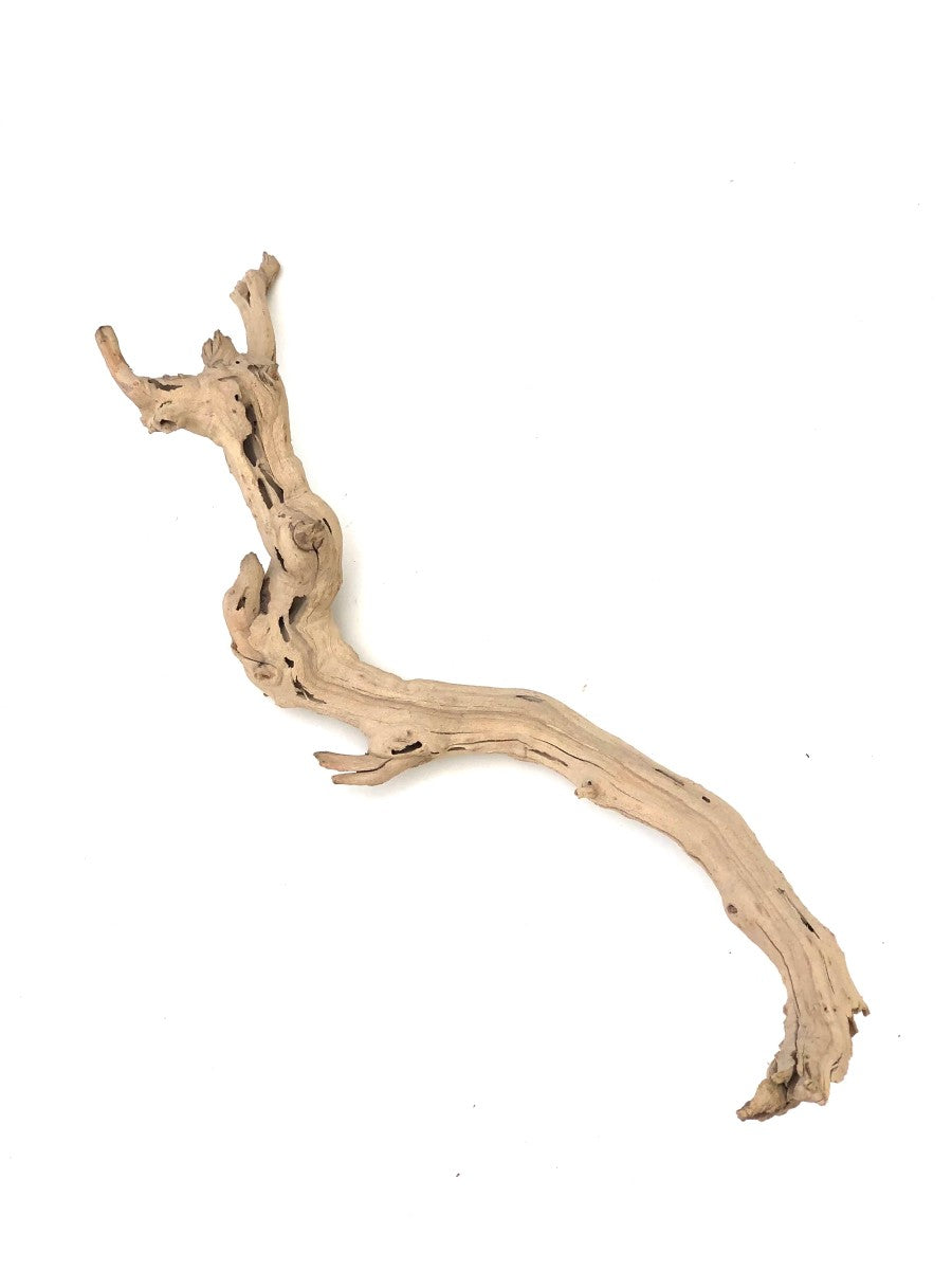 Grapevine Natural Sandblasted Decoration - Small - 8"-24" - The Bio Dude - #32297