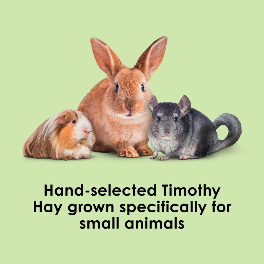 Timothy Hay Wafer Cut - 60 Oz - #26712