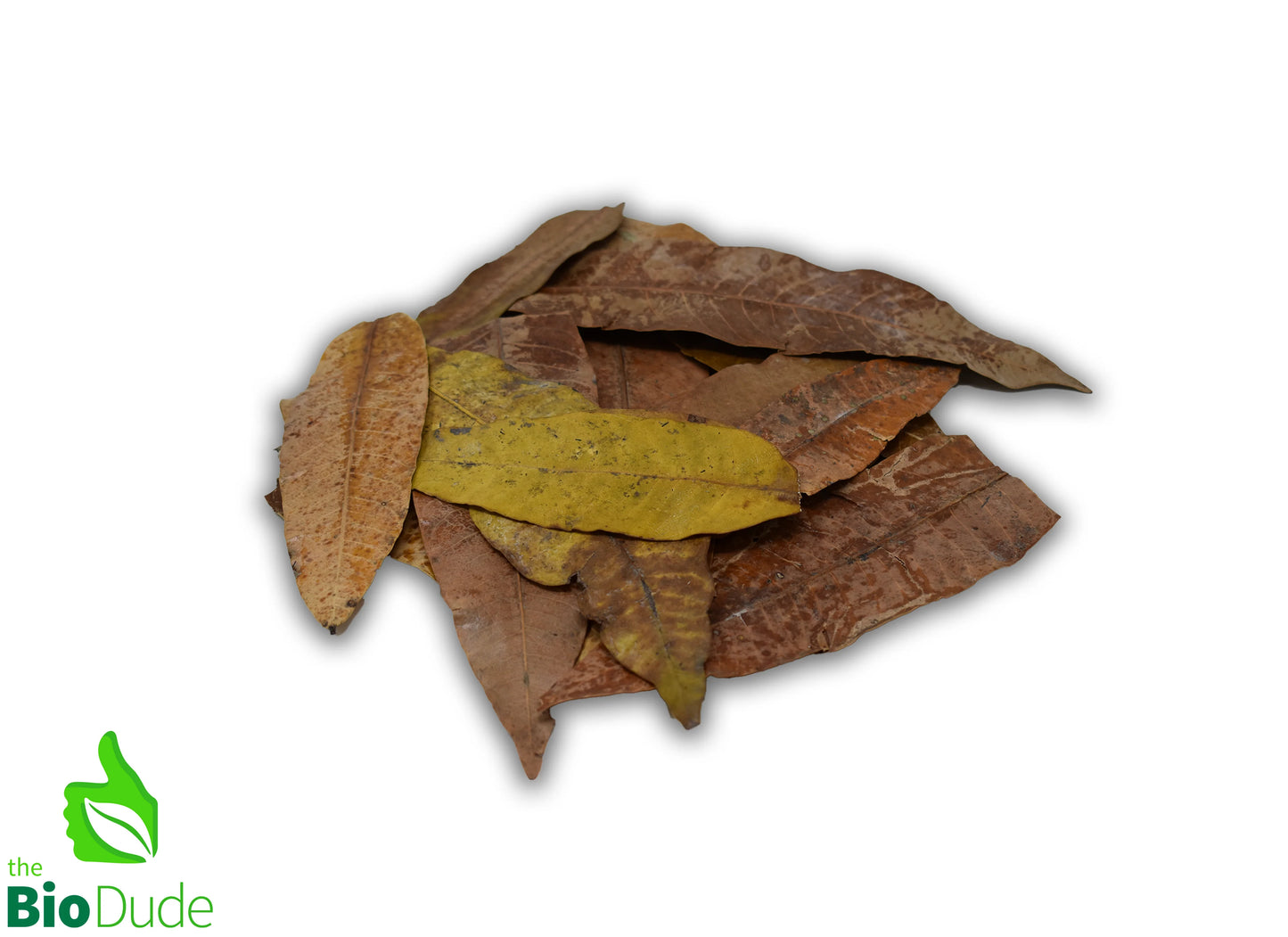 Leaf Litter
