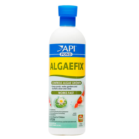 Algaefix API Pond - 8 oz - #32146