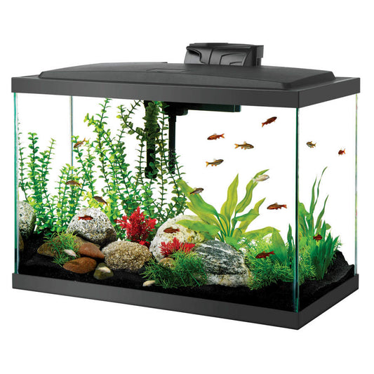 Aquarium LED - 20 Gallon Economy Kit - 20 Gallon - #30671