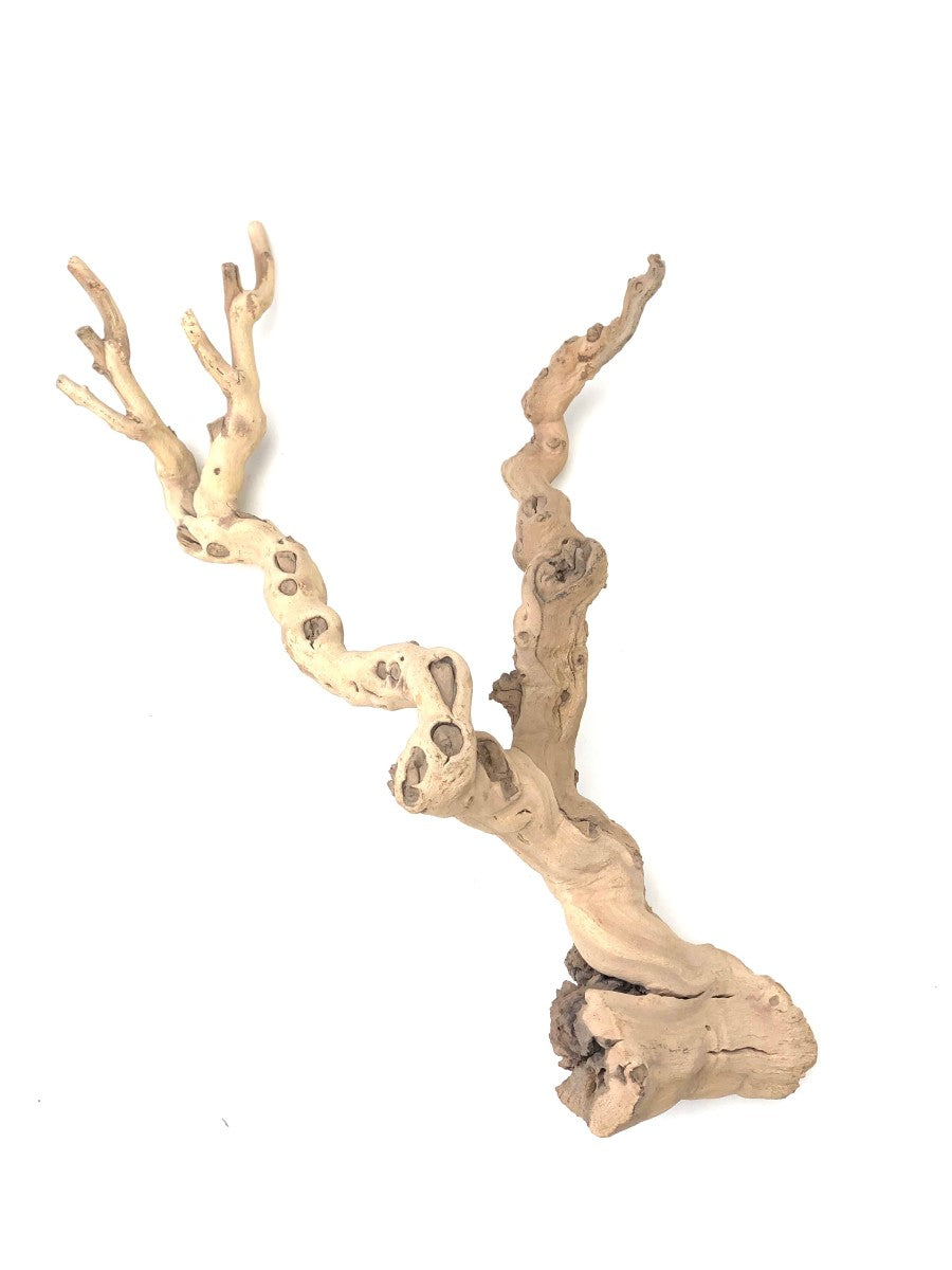Grapevine Natural Sandblasted Decoration - Small - 8"-24" - The Bio Dude - #32297