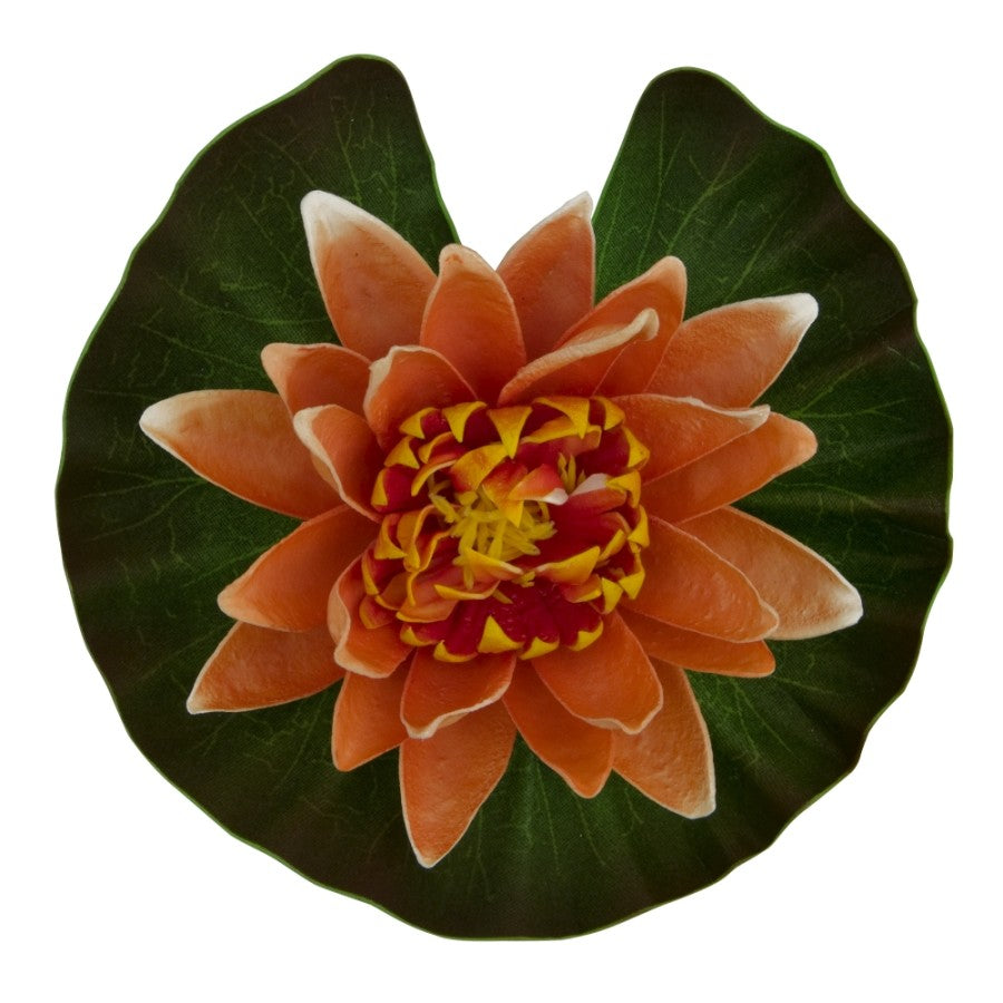 Tetra Pond Silk Lily Floating Plant -6.5x1.5x5.63 - #29385