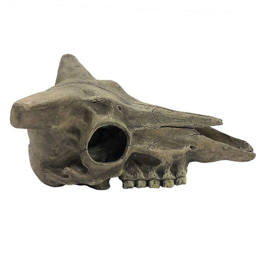Skulls & Bones Deer - #27204