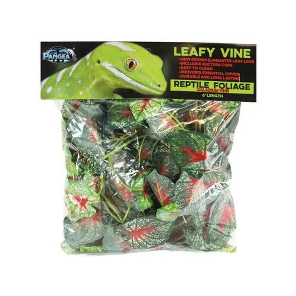Pangea Leafy Vine Caladium - 6 Ft - #31791