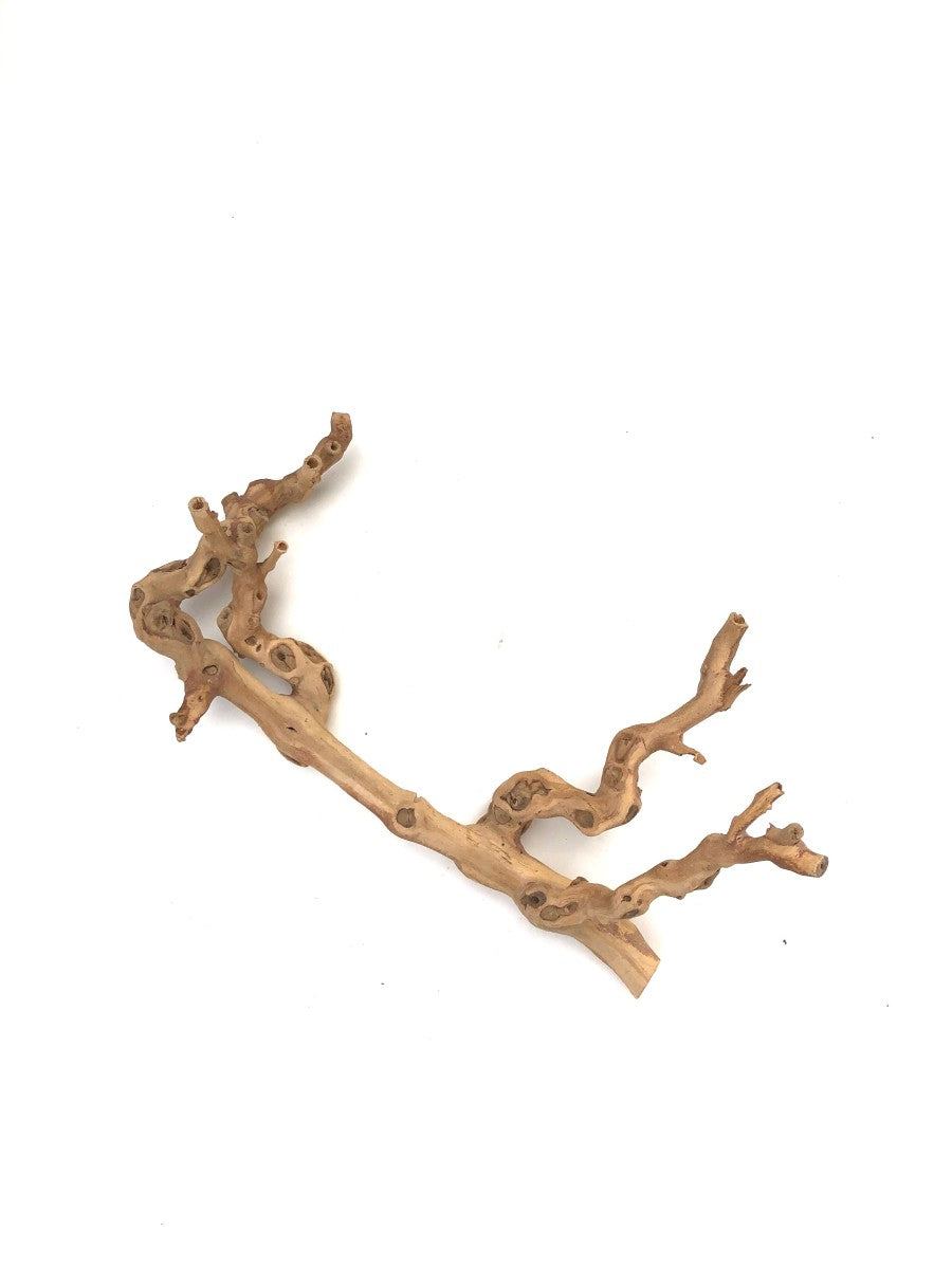 Grapevine Sandblasted Decoration - Small - #30661