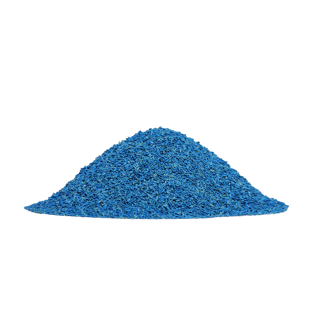 Oasis Bermuda Grass Seed - 1-3 lb covers 1,000 Sq Ft