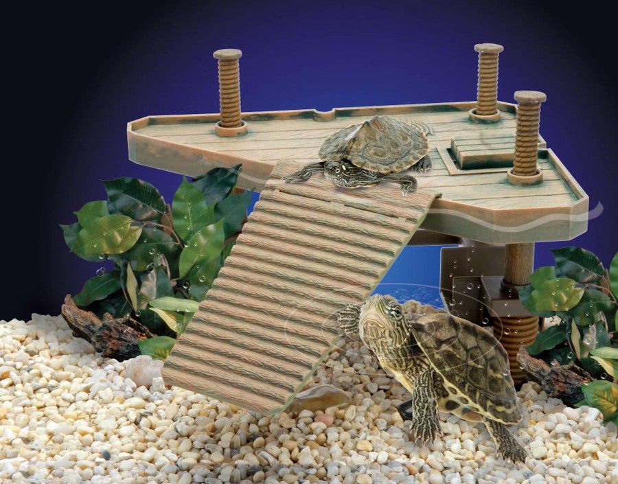 Turtle-Pier Reptology - #27202
