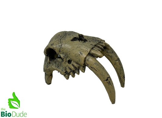 Sabertooth Tiger Decor - #31069