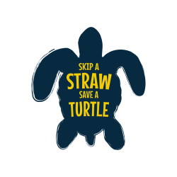 Sticker Save A Turtle - 5" - #29920
