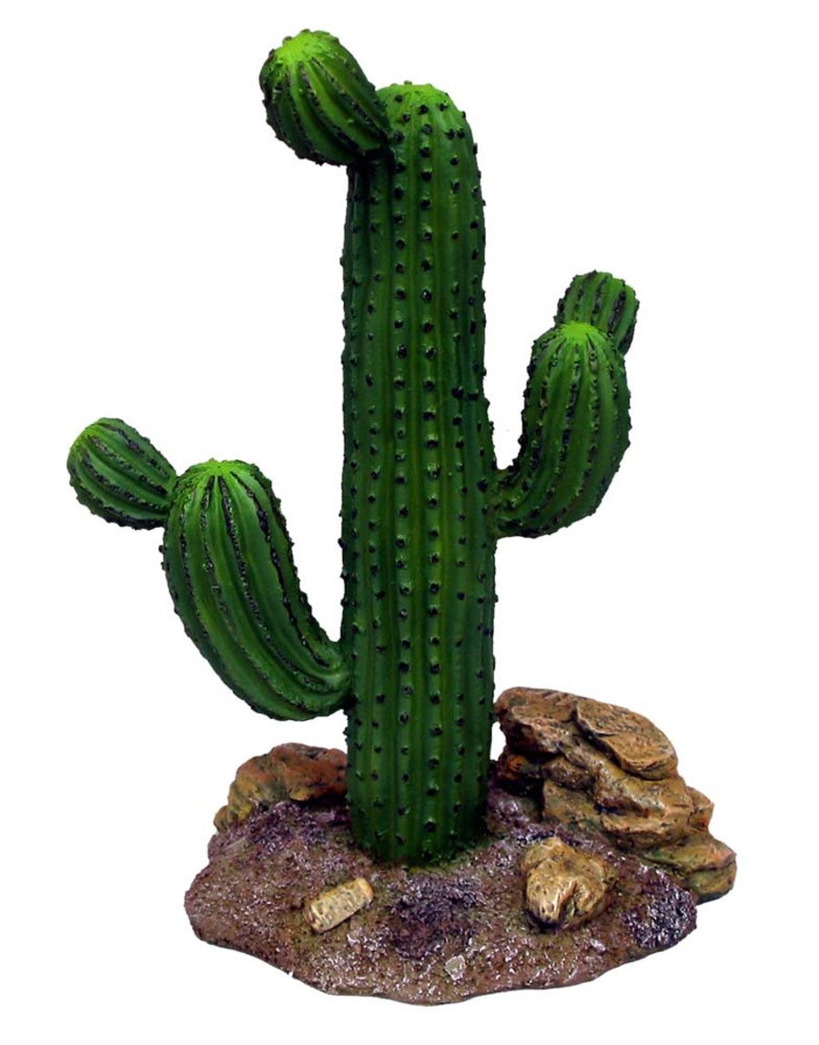 Cactus Saguaro Terrarium 9" - #27710