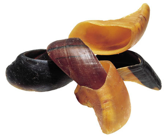 Cow Hooves Dog Chews Redbarn-4 Inch - Each