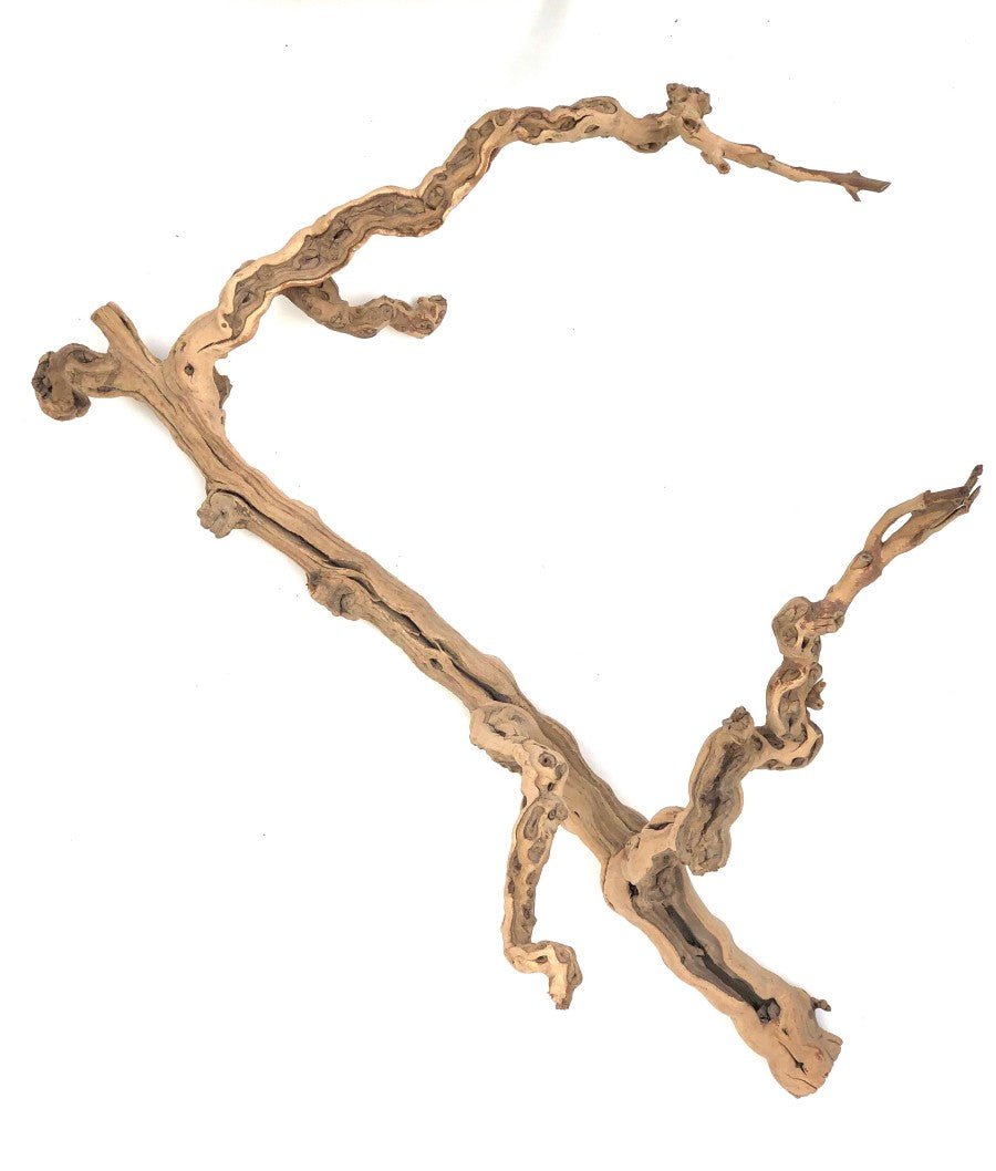 Grapevine Sublime Decor - Extra Large - #31115
