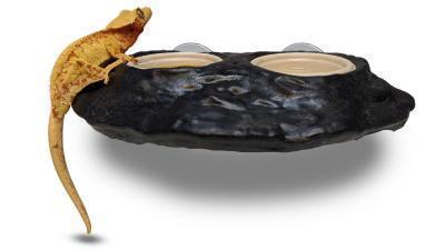Ultimate Feeding Ledge Magnetic - 2 Cups - Pangea - 8-1/2"x4-3/4"x2-1/2" - #32755