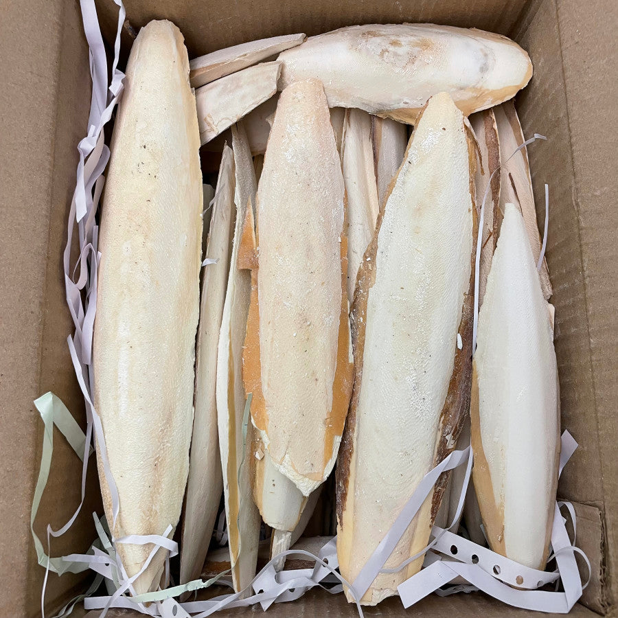 Cuttlebone 5" Single - #26534
