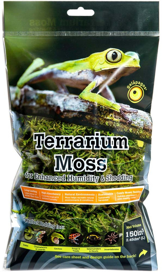 Terrarium Moss Galapagos - 150 in³ - #26671