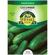 Seeds Cucumber Marketmore - 3 Grams